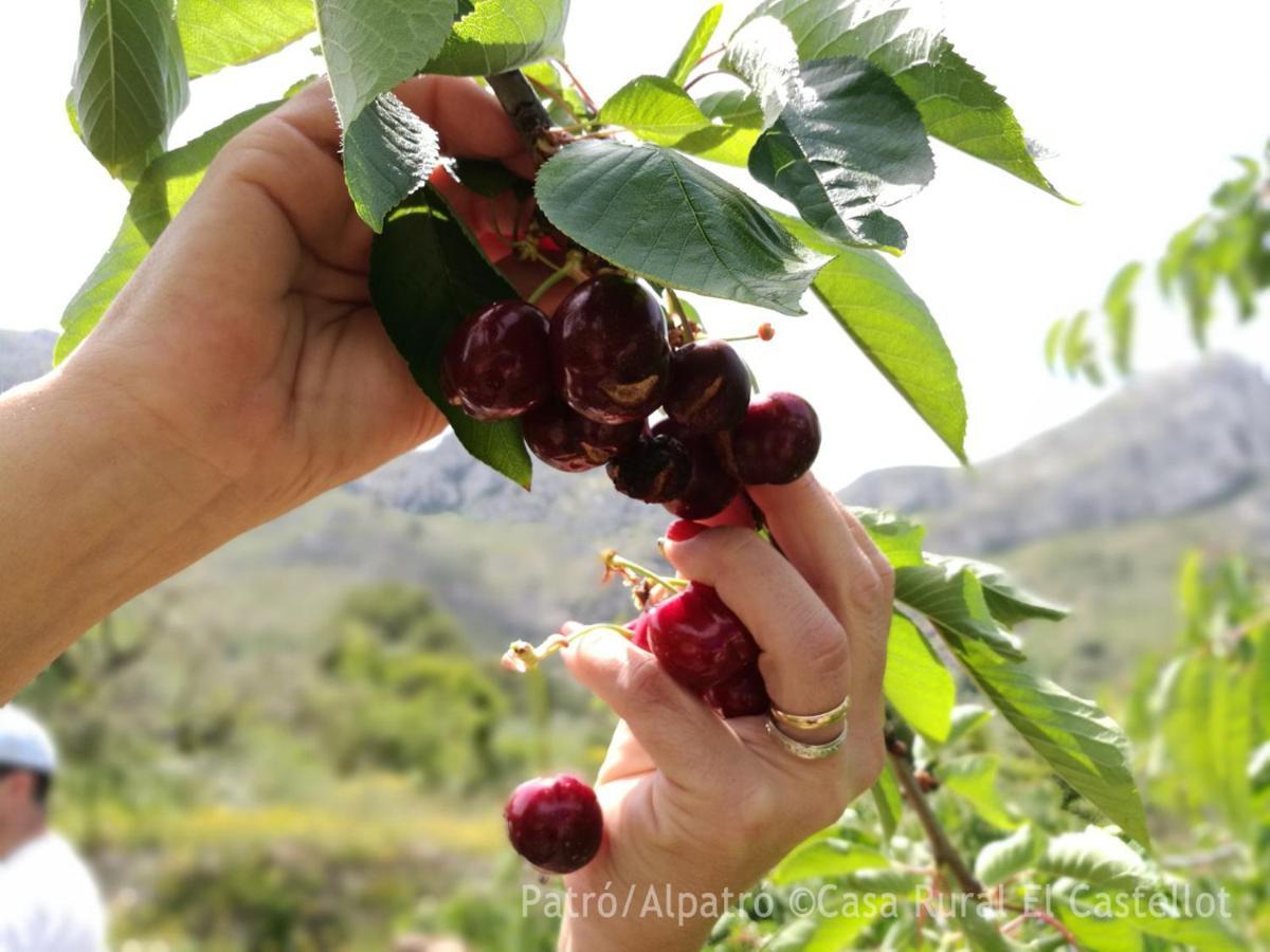 Buhardilla Rustica En La Vall De Gallinera Aparthotel Patró Zewnętrze zdjęcie